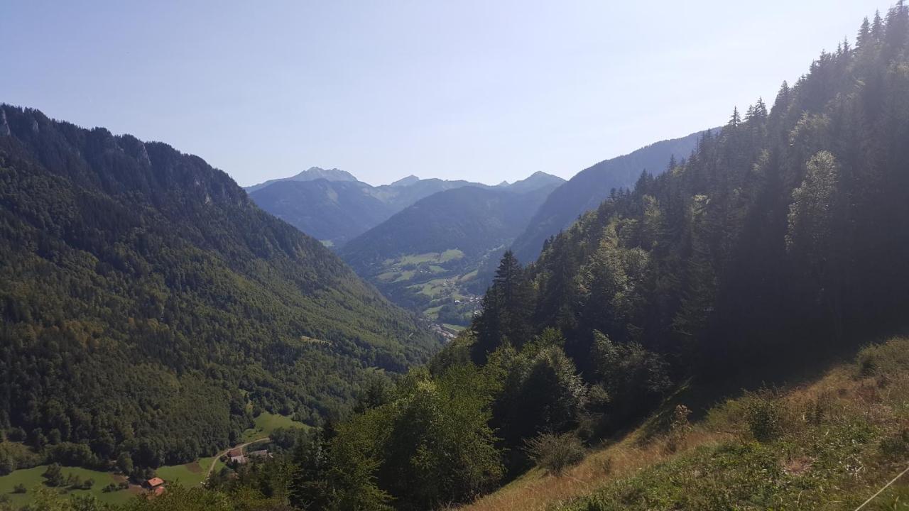 Chalet Le Télémark Thollon-les-Memises Esterno foto